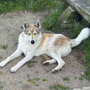 IMG 5374