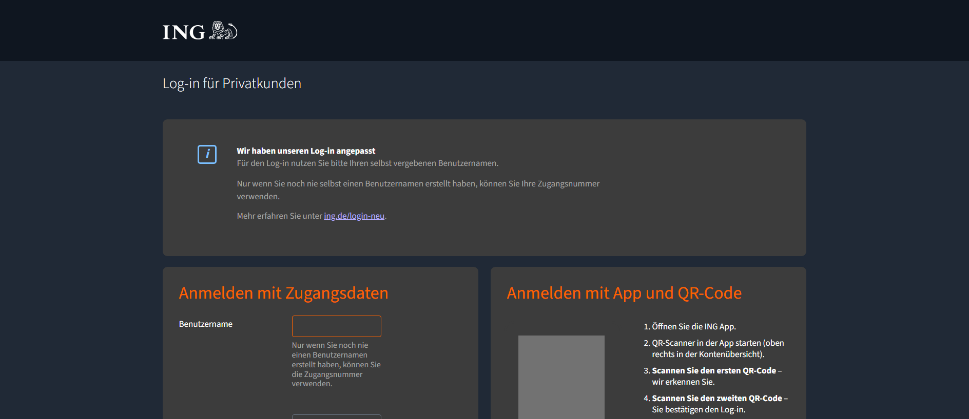 Forensic screenshot of access-ing.de showing the phishing page layout