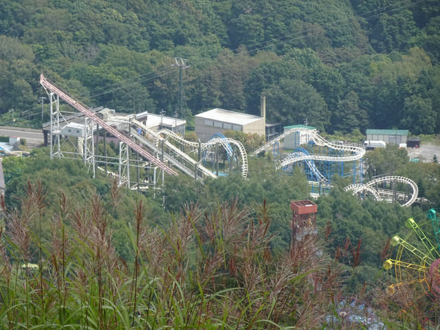 DSC03689.jpg