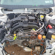 45947856 Image 11