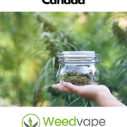 Main-Order-Weed-Canada-23