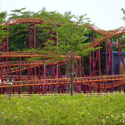 DSC00320