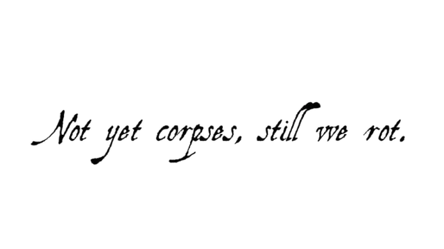 0bf02ecf1f706f819e75e29f9d4cfe8a removebg preview.png