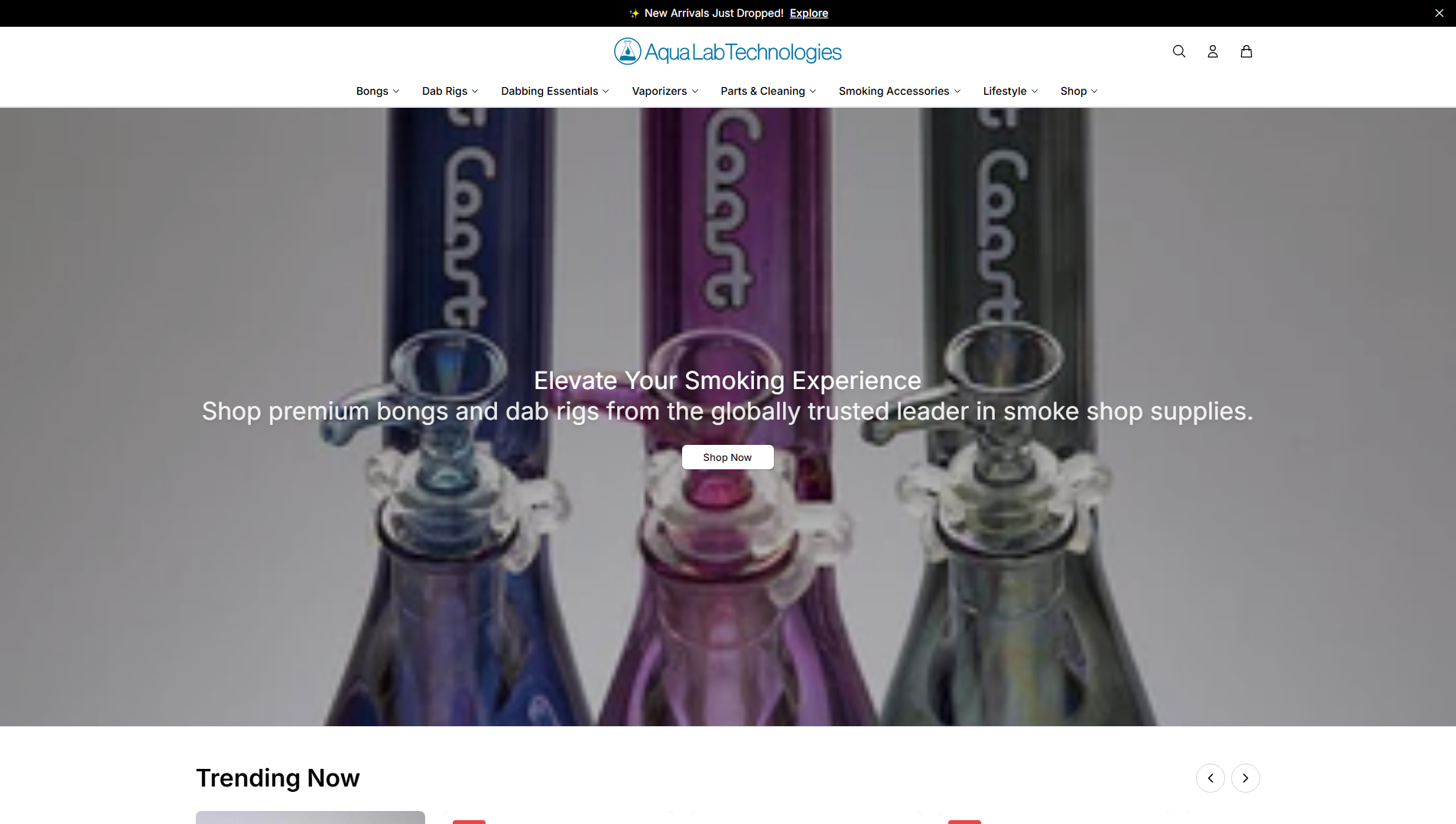 Stored capture of aqualabtechnologiesstore.shop
