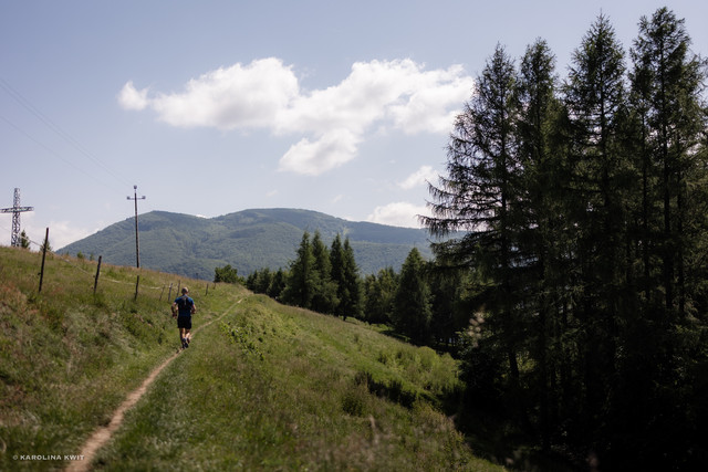 IMG-0178.jpg