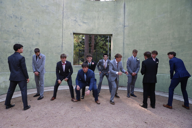 IMG-6494