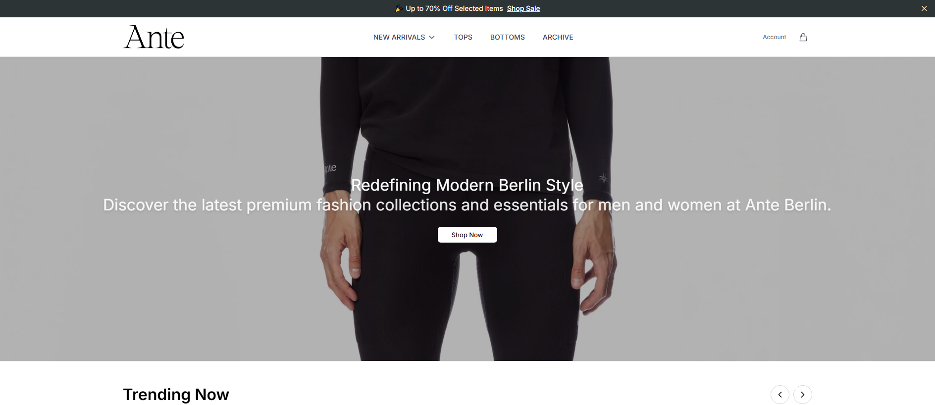 Stored capture of anteberlinwear.shop
