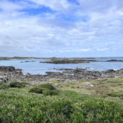 IMG 2942