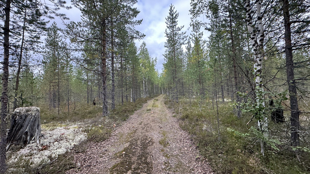 IMG 5777.jpg