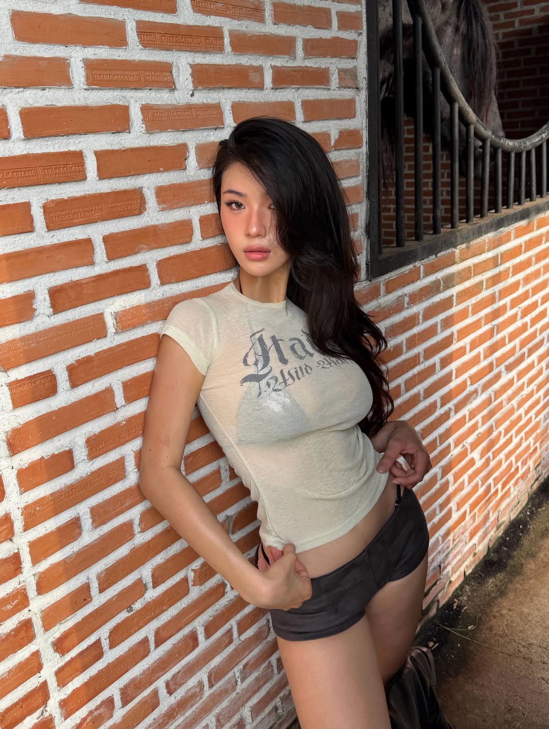 C-12.jpg