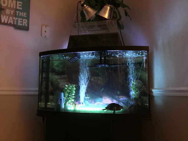 IMG 0232 Copy