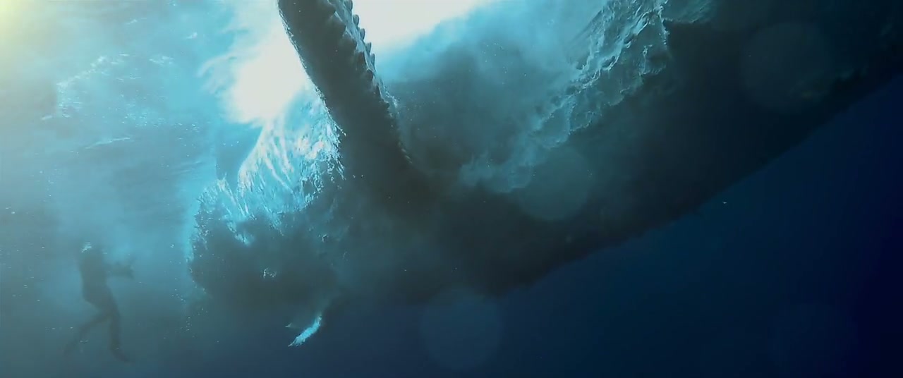 Shark Whisperer Screenshot
