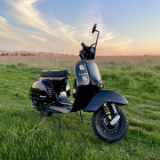 IMG-3536