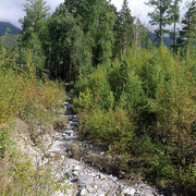 IMG 0455