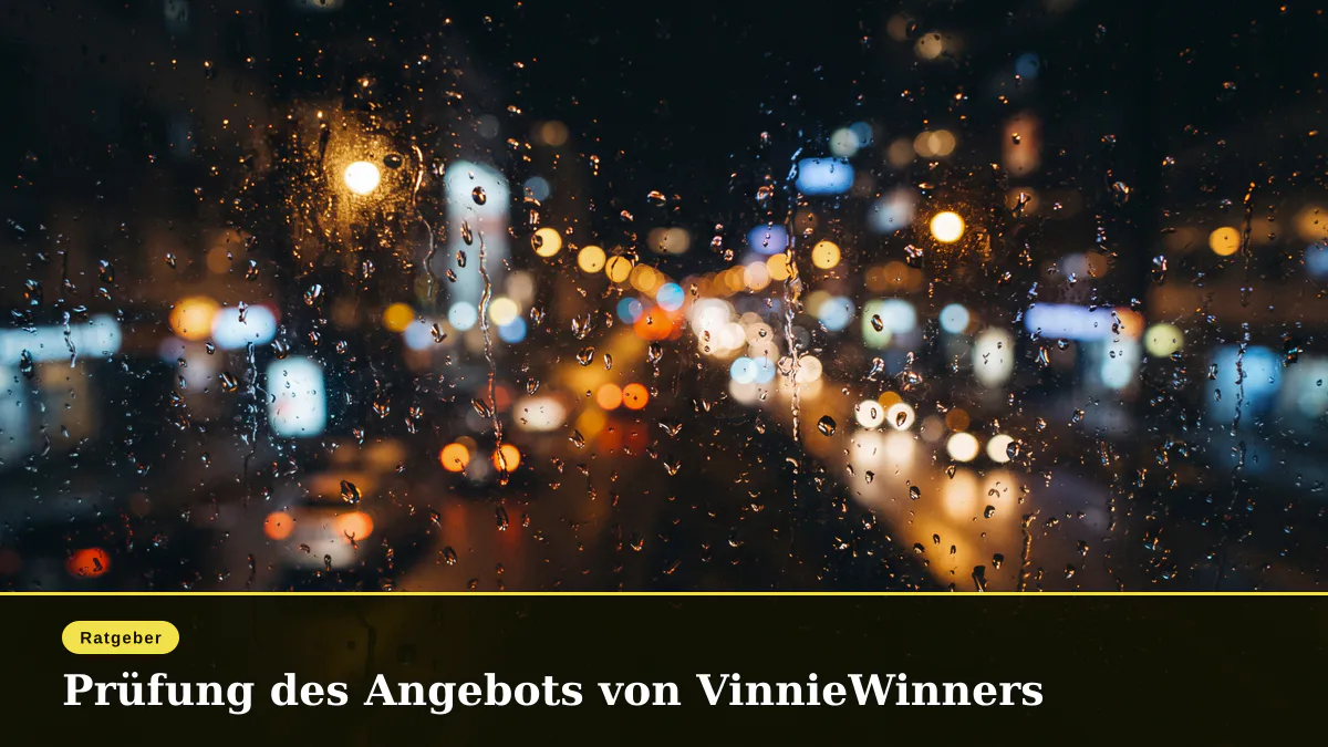 Prüfung des Angebots von VinnieWinners