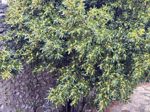 95.jpg