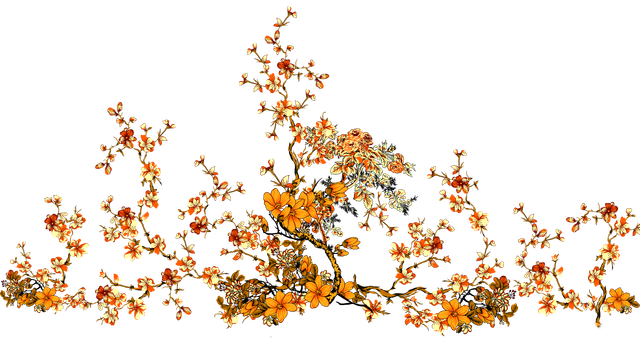 a685f4e46f04fafa50fd0be09451e4c0.png