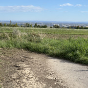 IMG-3354