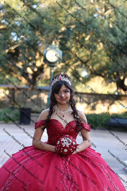 IMG 2028