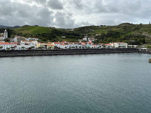 IMG-6530
