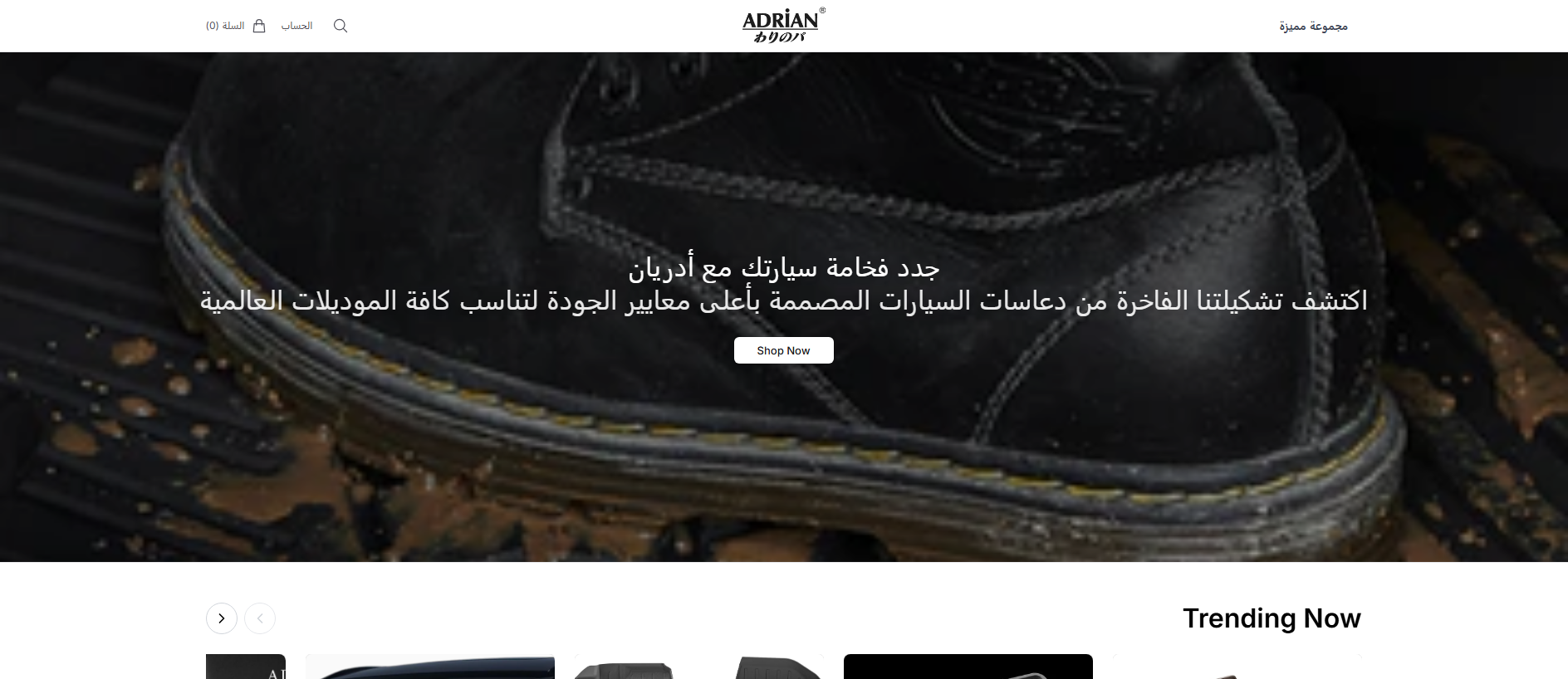 Stored capture of adrianksahq.shop