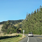 86