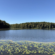 IMG 3691