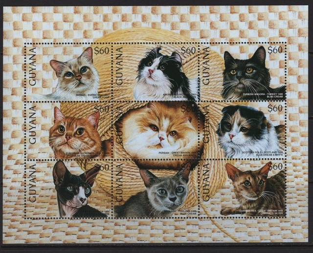 600