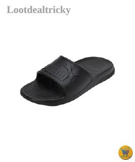 Fast 625 Amzn | Best Price Drop Today Fast 625 Amzn | Best Price Drop Today