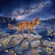 E-book Dziki Pies Dingo – środek