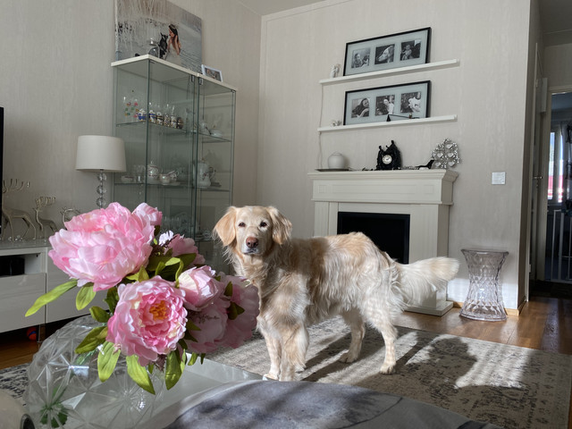 3-C0-AD7-CF-29-E8-468-C-A4-A2-303-AC1-F3