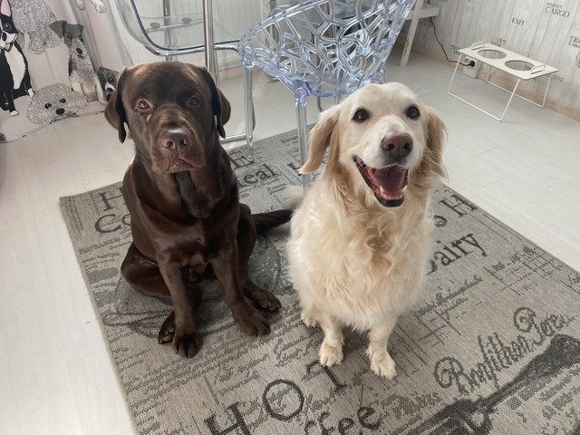 7-D1912-D8-1140-4-B99-8-E4-F-A03-F0-DB91