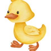187