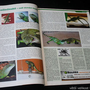 IMG-7755