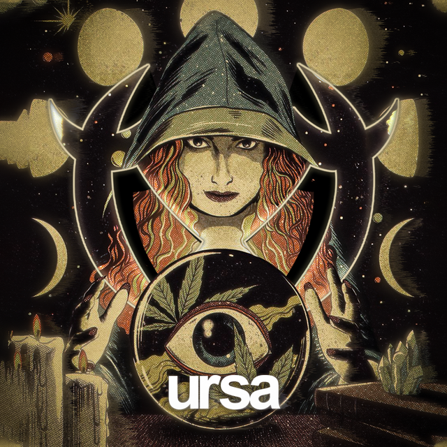 ursa.png