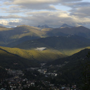 DSC7131
