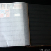 IMG-6837