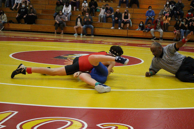 IMG-0207