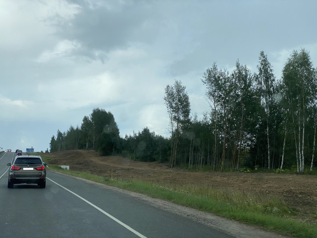 IMG-6785.jpg
