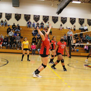 IMG-0216