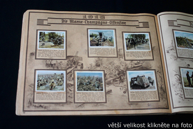 IMG-5746.jpg