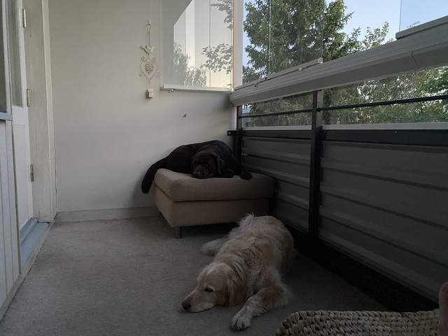 9-BB5-FA47-5-E6-B-4-F1-A-B512-C2282-EFB6