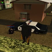 sawnoff245