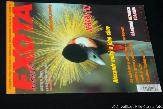 IMG-7778