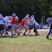 IMG-0562