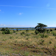 IMG-1522