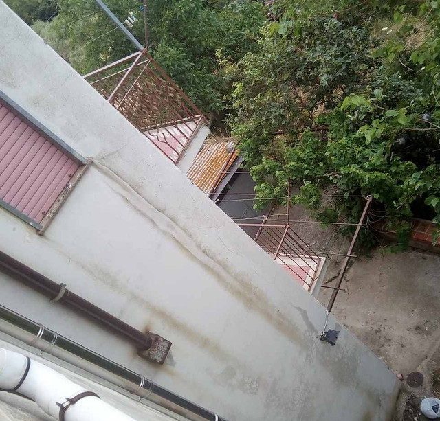 IMG065