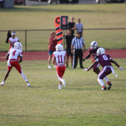 IMG-2236