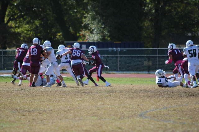 IMG-8247.jpg