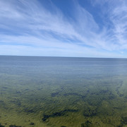 IMG-3046